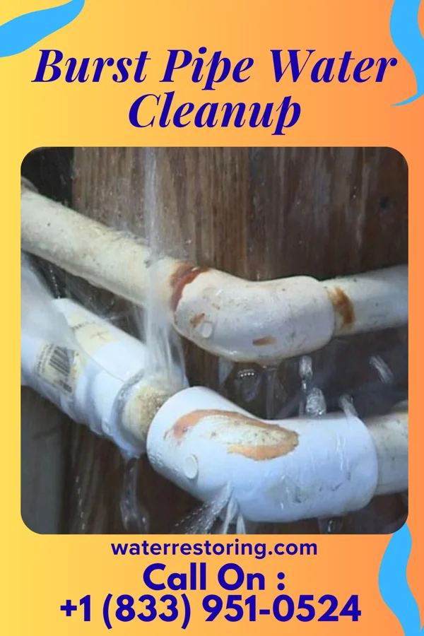 Burst Pipe Water Cleanup in Garwin, IA