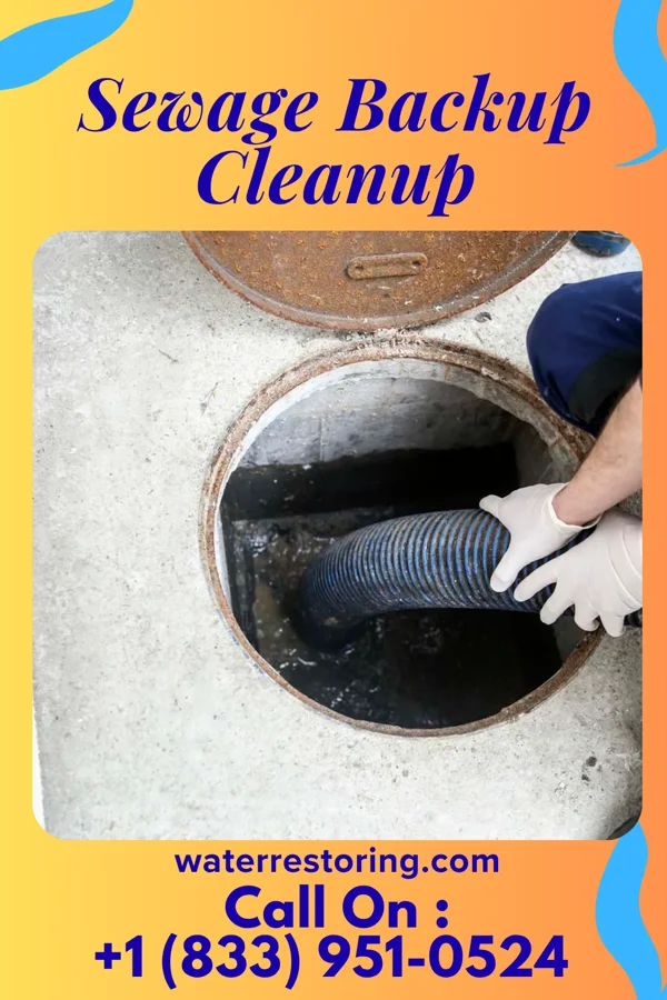 Sewage Backup Cleanup in Garwin, IA