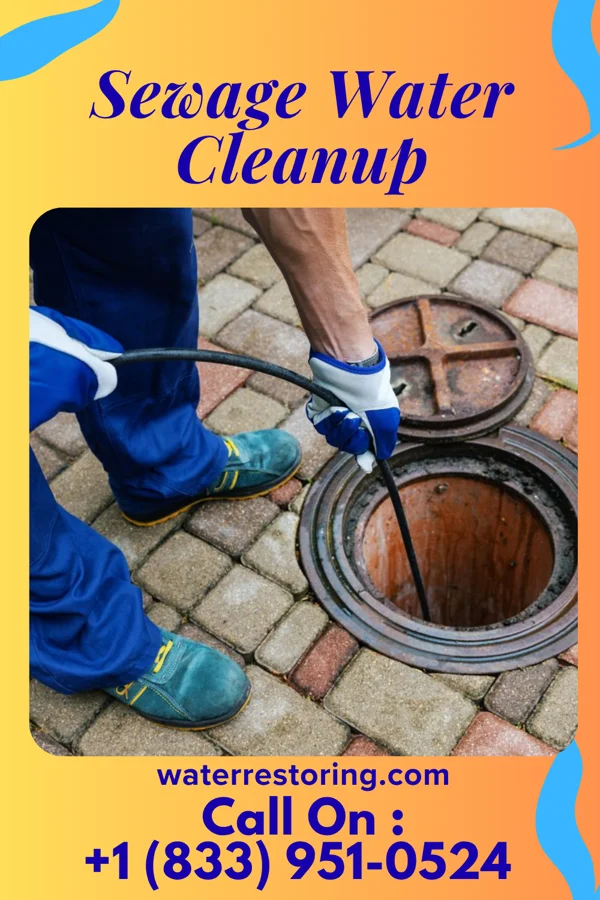 Sewage Water Cleanup in Garwin, IA