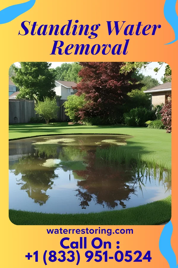Standing Water Removal in Garwin, IA